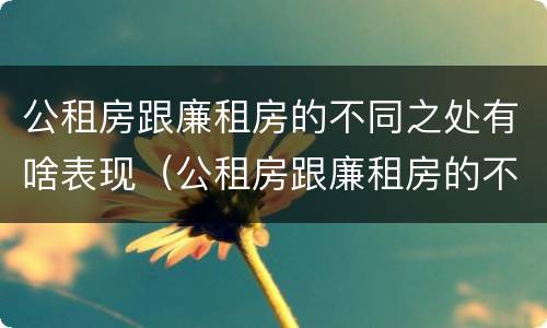 公租房跟廉租房的不同之处有啥表现（公租房跟廉租房的不同之处有啥表现呢）