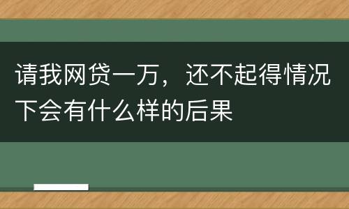 请我网贷一万，还不起得情况下会有什么样的后果