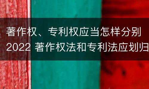 著作权、专利权应当怎样分别2022 著作权法和专利法应划归为