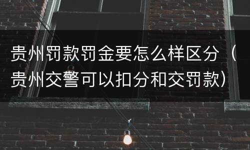 贵州罚款罚金要怎么样区分（贵州交警可以扣分和交罚款）