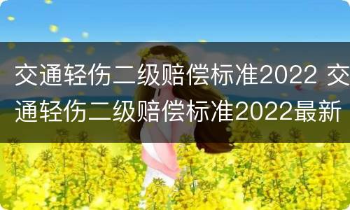 交通轻伤二级赔偿标准2022 交通轻伤二级赔偿标准2022最新