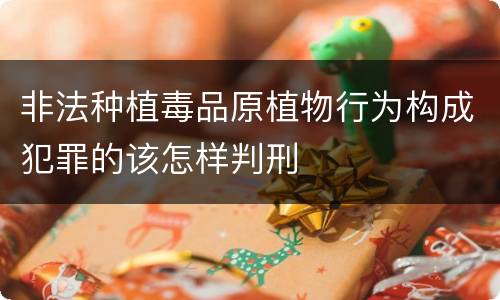 非法种植毒品原植物行为构成犯罪的该怎样判刑