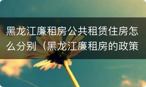 黑龙江廉租房公共租赁住房怎么分别（黑龙江廉租房的政策）