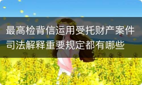 最高检背信运用受托财产案件司法解释重要规定都有哪些