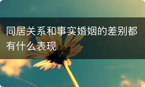 同居关系和事实婚姻的差别都有什么表现