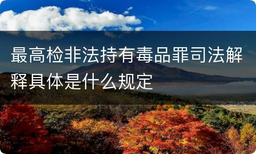 最高检非法持有毒品罪司法解释具体是什么规定