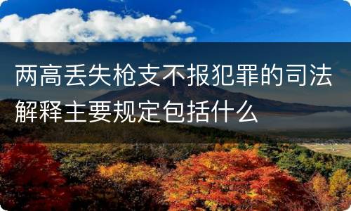 两高丢失枪支不报犯罪的司法解释主要规定包括什么