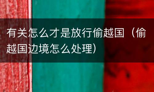 有关怎么才是放行偷越国（偷越国边境怎么处理）