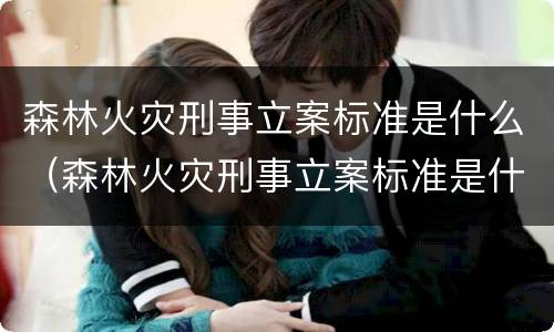森林火灾刑事立案标准是什么（森林火灾刑事立案标准是什么意思）