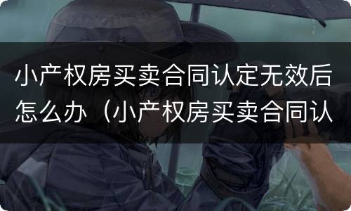 小产权房买卖合同认定无效后怎么办（小产权房买卖合同认定无效后怎么办手续）