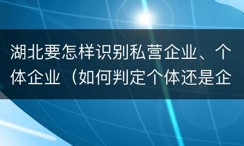 湖北要怎样识别私营企业、个体企业（如何判定个体还是企业）