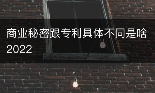 商业秘密跟专利具体不同是啥2022