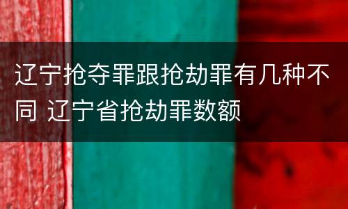 辽宁抢夺罪跟抢劫罪有几种不同 辽宁省抢劫罪数额