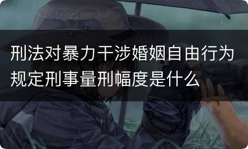 刑法对暴力干涉婚姻自由行为规定刑事量刑幅度是什么