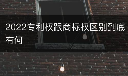 2022专利权跟商标权区别到底有何