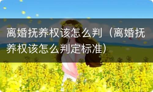 离婚抚养权该怎么判（离婚抚养权该怎么判定标准）