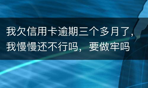 我欠信用卡逾期三个多月了，我慢慢还不行吗，要做牢吗