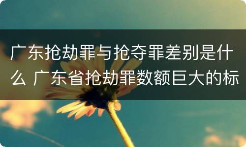 广东抢劫罪与抢夺罪差别是什么 广东省抢劫罪数额巨大的标准