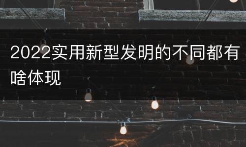 2022实用新型发明的不同都有啥体现