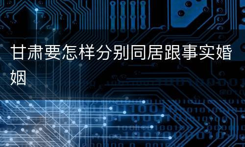 甘肃要怎样分别同居跟事实婚姻
