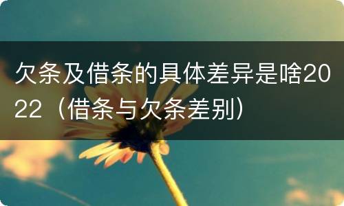 欠条及借条的具体差异是啥2022（借条与欠条差别）