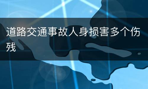 道路交通事故人身损害多个伤残