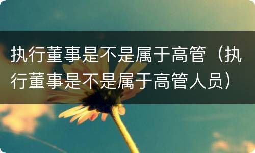 执行董事是不是属于高管（执行董事是不是属于高管人员）