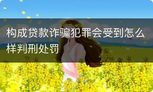 构成贷款诈骗犯罪会受到怎么样判刑处罚