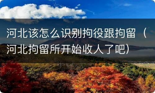 河北该怎么识别拘役跟拘留（河北拘留所开始收人了吧）