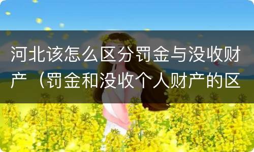河北该怎么区分罚金与没收财产（罚金和没收个人财产的区别）