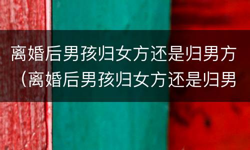离婚后男孩归女方还是归男方（离婚后男孩归女方还是归男方抚养）