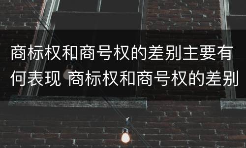 商标权和商号权的差别主要有何表现 商标权和商号权的差别主要有何表现为