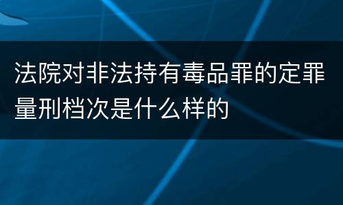 法院对非法持有毒品罪的定罪量刑档次是什么样的