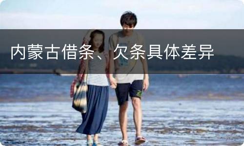 内蒙古借条、欠条具体差异