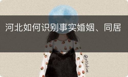 河北如何识别事实婚姻、同居