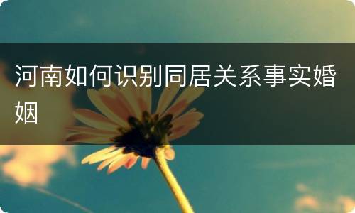 河南如何识别同居关系事实婚姻