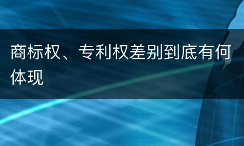 商标权、专利权差别到底有何体现