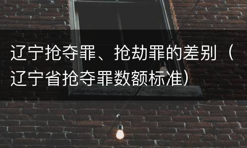 辽宁抢夺罪、抢劫罪的差别（辽宁省抢夺罪数额标准）