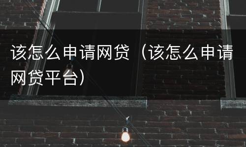 该怎么申请网贷（该怎么申请网贷平台）
