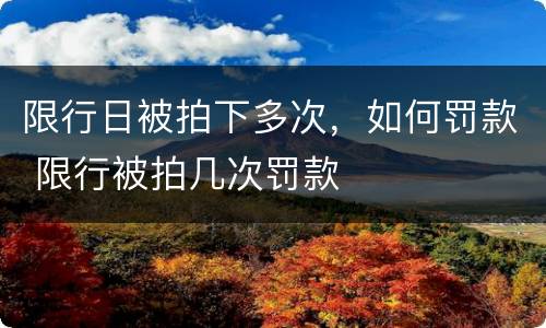 限行日被拍下多次，如何罚款 限行被拍几次罚款