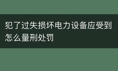 犯了过失损坏电力设备应受到怎么量刑处罚