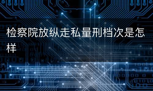 检察院放纵走私量刑档次是怎样