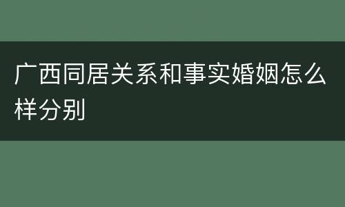 广西同居关系和事实婚姻怎么样分别