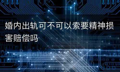 婚内出轨可不可以索要精神损害赔偿吗