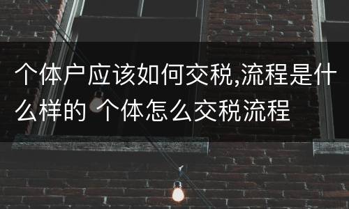 个体户应该如何交税,流程是什么样的 个体怎么交税流程