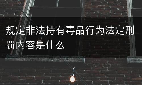 规定非法持有毒品行为法定刑罚内容是什么