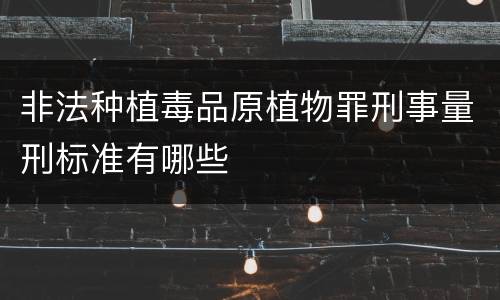 非法种植毒品原植物罪刑事量刑标准有哪些