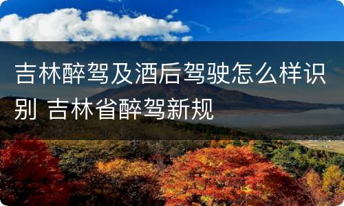 吉林醉驾及酒后驾驶怎么样识别 吉林省醉驾新规