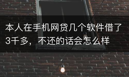 本人在手机网贷几个软件借了3千多，不还的话会怎么样