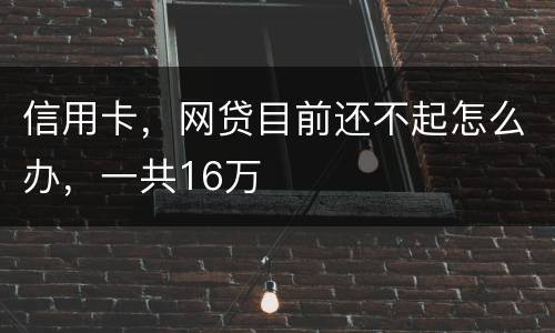信用卡，网贷目前还不起怎么办，一共16万